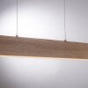 Paul Neuhaus Q-TIMBER Hanglamp LED Hout licht, 1-licht, Afstandsbediening
