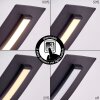 Teresina Plafondlamp LED Zwart, 1-licht, Afstandsbediening