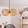 Ellekom Hanglamp Zwart, 1-licht