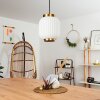 Dyce Hanglamp Zwart, 1-licht