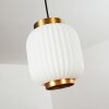 Dyce Hanglamp Zwart, 1-licht