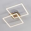 Thara Plafondlamp LED Nikkel mat, 2-lichts, Afstandsbediening