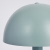 Tom Kings Tafellamp Groen, Wit, 1-licht