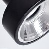 Chagres Plafondlamp Zwart, Zilver, 4-lichts