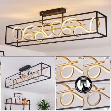Pericos Plafondlamp LED Goud, Zwart, 4-lichts