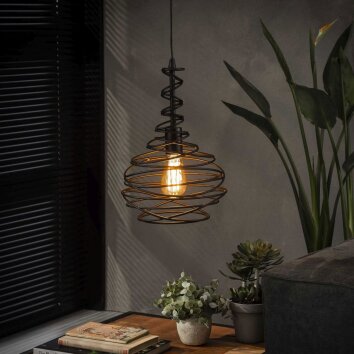 Walterswald Hanglamp Zwart, 1-licht