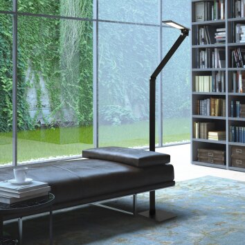 Steinhauer Serenade Staande lamp LED Zwart, Wit, 1-licht