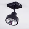 Chagres Plafondlamp Zwart, 1-licht