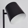 Tontolos Staande lamp LED Zwart, 1-licht