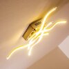 Mapleton Plafondlamp LED Nikkel mat, 4-lichts