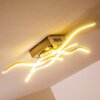 Mapleton Plafondlamp LED Nikkel mat, 4-lichts