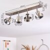 Chagres Plafondlamp Nikkel mat, 4-lichts