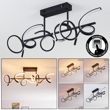 Gora Plafondlamp LED Zwart, 3-lichts