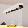 Bacoor Hanglamp LED Zwart, Wit, 5-lichts