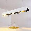 Bacoor Hanglamp LED Zwart, Wit, 5-lichts