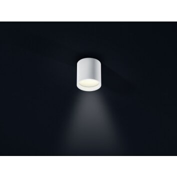 Helestra DORA 1 Plafondlamp LED Wit, 1-licht