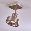 Chagres Plafondlamp Nikkel mat, 1-licht