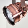 Aniak Plafondlamp LED Koperkleurig, 4-lichts
