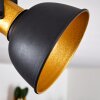 Borik Plafondlamp Zwart-Goud, 2-lichts