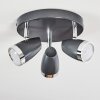 Idlewild Plafondlamp LED Zwart, 3-lichts