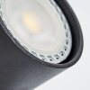 Rubeltein Plafondlamp Zwart, 2-lichts