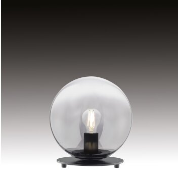 SCHÖNER WOHNEN-Kollektion MIRROR Tafellamp Zwart, 1-licht