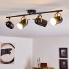Rialey Plafondlamp Messing, Zwart, 4-lichts