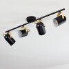 Rialey Plafondlamp Messing, Zwart, 4-lichts