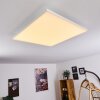 Buenaventura Plafondlamp LED Wit, 1-licht, Afstandsbediening