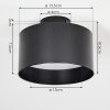 Baraboo Plafondlamp LED Zwart, 1-licht