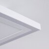 Salamo Plafondlamp LED Wit, 2-lichts, Afstandsbediening