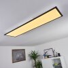 Nexo Plafondlamp LED Zwart, 1-licht, Afstandsbediening