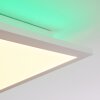 Turbalá Plafondlamp LED Wit, 2-lichts, Afstandsbediening, Kleurwisselaar