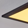 Nexo Plafondlamp LED Zwart, 1-licht, Afstandsbediening