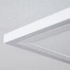 Salamo Plafondlamp LED Wit, 2-lichts, Afstandsbediening