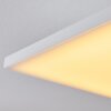 Salamo Plafondlamp LED Wit, 1-licht, Afstandsbediening