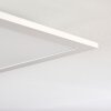 Nexo Plafondlamp LED Wit, 1-licht, Afstandsbediening