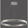 Paul Neuhaus Q-VITO Hanglamp LED roestvrij staal, 1-licht, Afstandsbediening