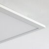 Turbalá Plafondlamp LED Wit, 1-licht, Afstandsbediening, Kleurwisselaar