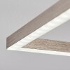 Cheka Plafondlamp LED Nikkel mat, 2-lichts, Afstandsbediening