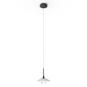 Steinhauer Tallerken Hanger LED Zwart, 1-licht