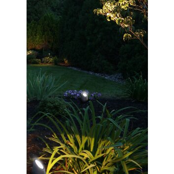 Mantra TAOS Tafellamp voor buiten Grijs, 1-licht