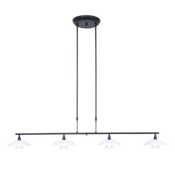 Steinhauer Tallerken Hanglamp LED Nikkel mat, 4-lichts