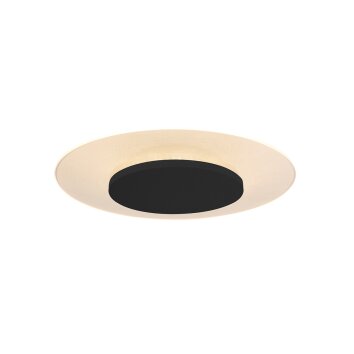 Steinhauer Lido Plafondlamp LED Zwart, 1-licht