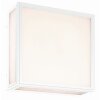 Mantra BACHELOR Buitenshuis plafond verlichting LED Wit, 1-licht