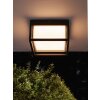 Mantra CHAMONIX Buitenshuis plafond verlichting LED Grijs, 1-licht