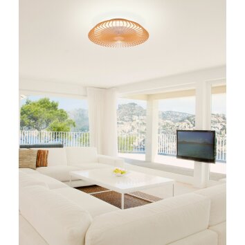 Mantra HIMALAYA plafondventilator LED Hout licht, 1-licht, Afstandsbediening