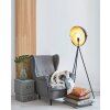 EGLO DARNIUS Staande lamp Goud, Zwart, 1-licht