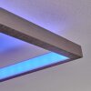 Momahaki Plafondlamp LED Chroom, 1-licht, Afstandsbediening