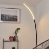 Tobillos Staande lamp LED Zwart, 1-licht